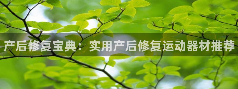 凯捷体育集团官网网址:产后修复宝典:实用产后修复运动器材推荐