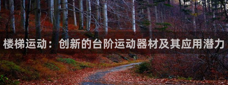 凯捷体育平台注册要钱吗:楼梯运动:创新的台阶运动器材及其应用