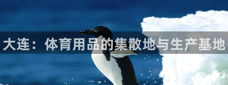 意昂集团官网:大连:体育用品的集散地与生产基地