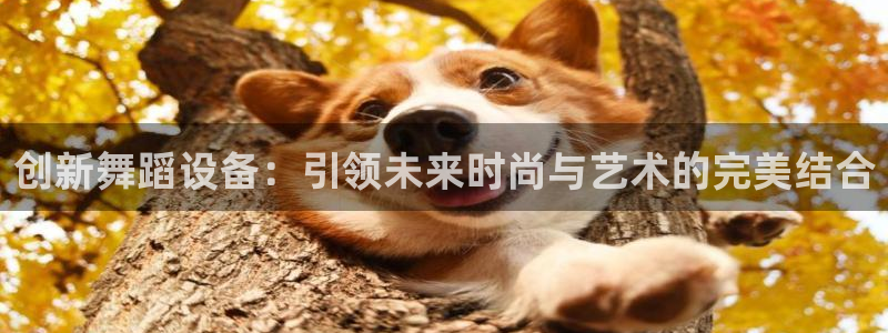 凯捷体育集团官网首页:创新舞蹈设备:引领未来时尚与艺术的完美