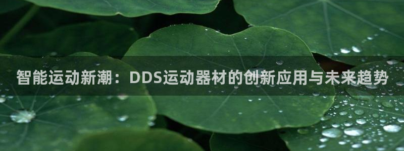 凯捷体育招商电话地址查询:智能运动新潮:DDS运动器材的创新